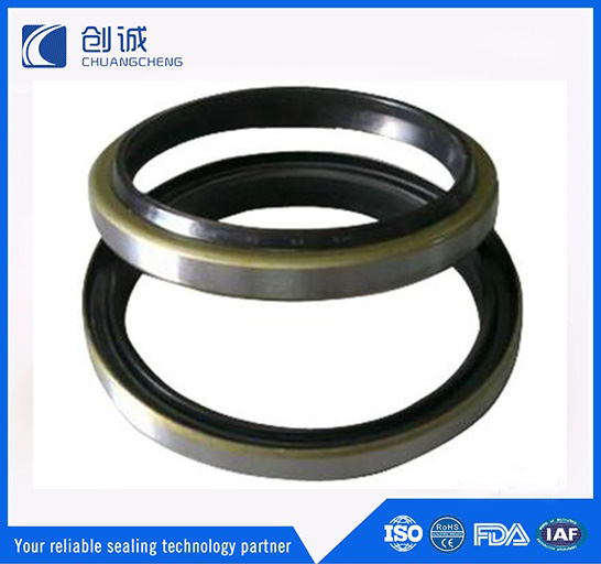 往復(fù)運(yùn)動(dòng)密封圈