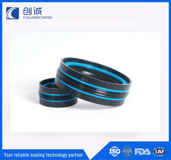 往復(fù)運(yùn)動(dòng)密封圈