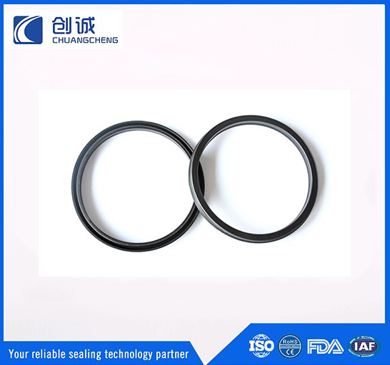 往復(fù)運(yùn)動(dòng)密封圈
